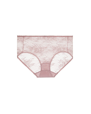 Aimer Lace High-waist Hiphugger Panty