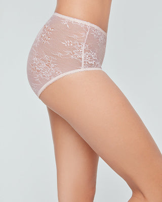 Aimer Lace High-waist Hiphugger Panty