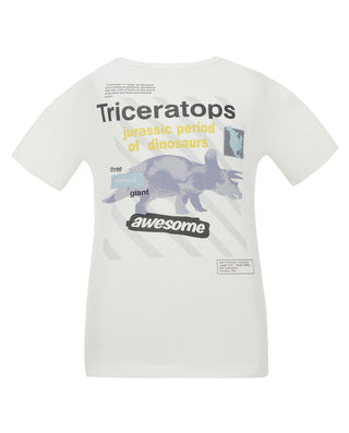 Aimer Kids Milk Short-sleeve Tops Homewear For Boys